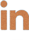 Icone Linkedin