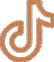 Icone Tiktok